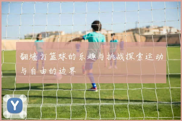 翻墙打篮球的乐趣与挑战探索运动与自由的边界