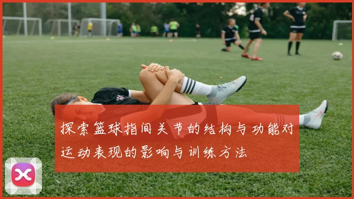 探索篮球指间关节的结构与功能对运动表现的影响与训练方法