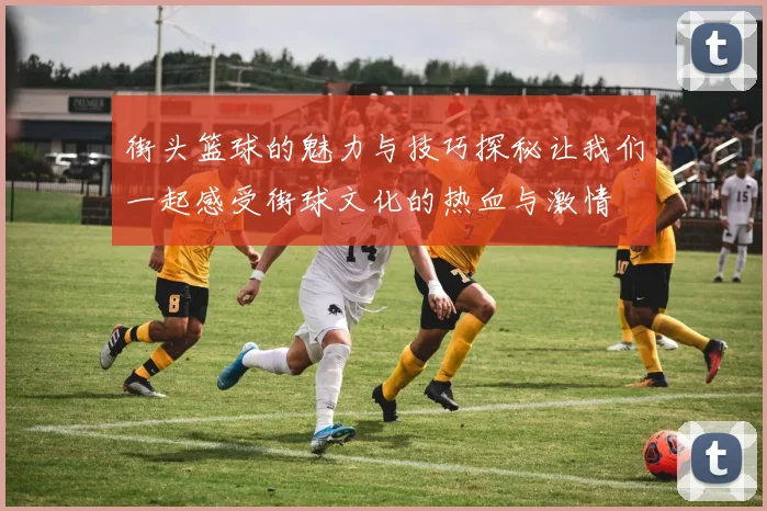 街头篮球的魅力与技巧探秘让我们一起感受街球文化的热血与激情