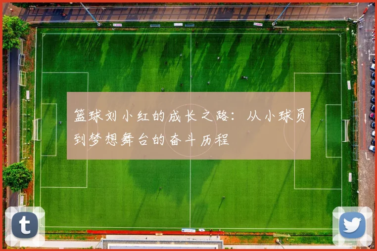 篮球刘小红的成长之路：从小球员到梦想舞台的奋斗历程