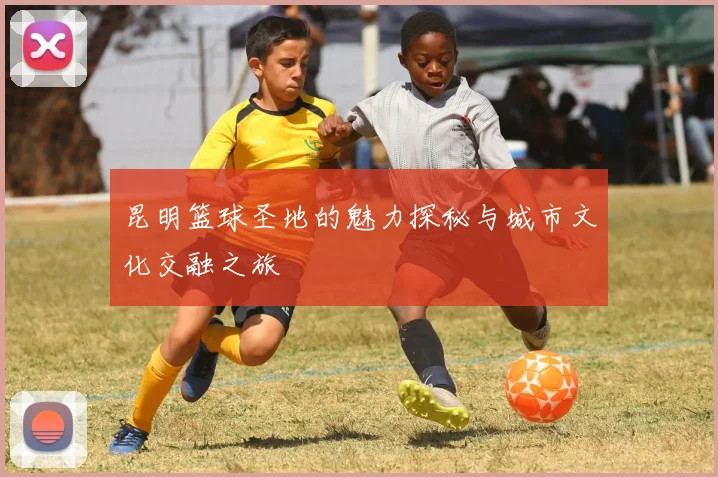 昆明篮球圣地的魅力探秘与城市文化交融之旅